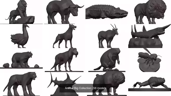 Animal Big Collection 