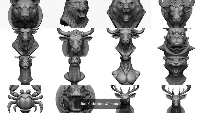 Bust Collection 