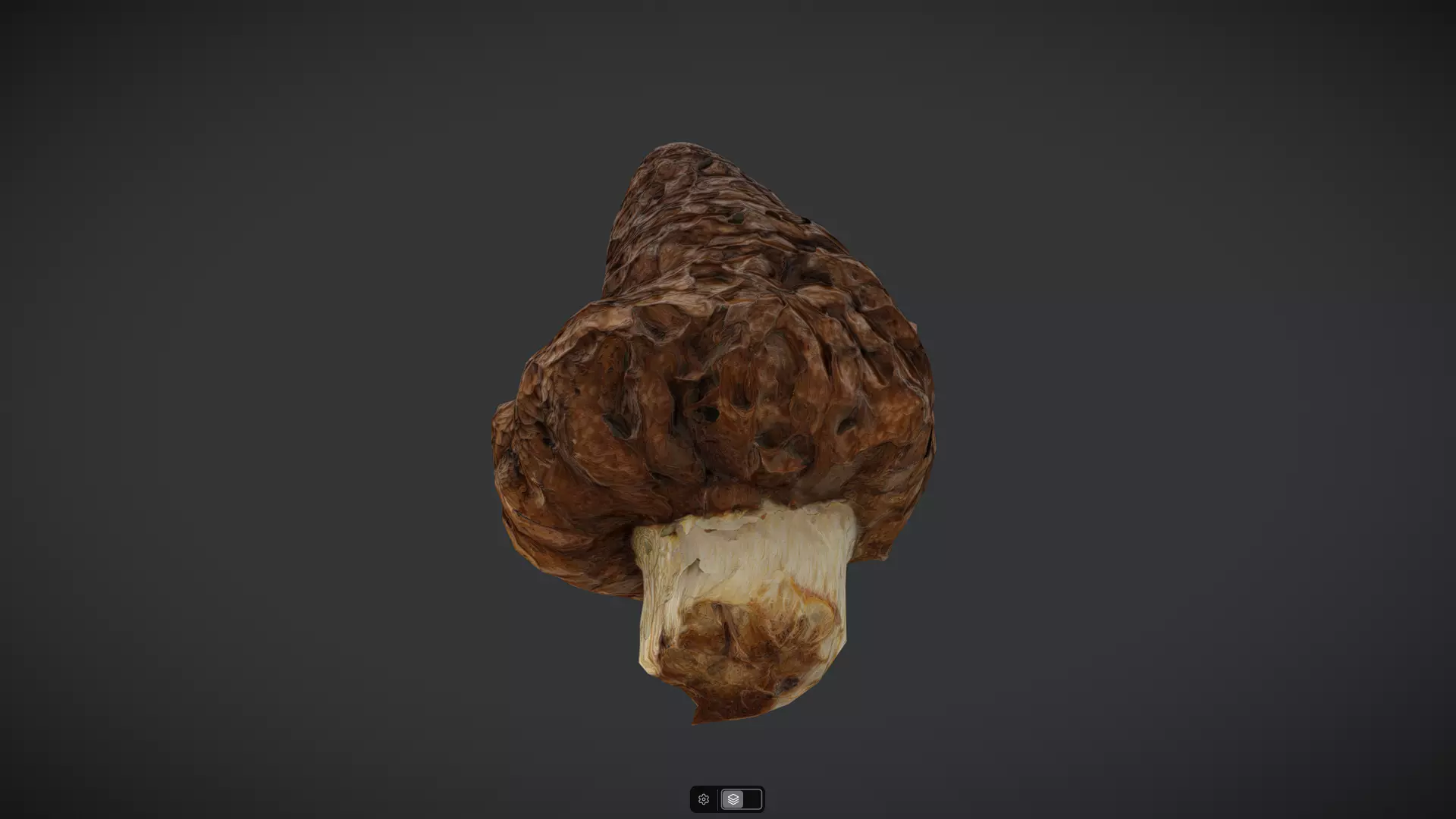 Morel Low-poly 3D model_3