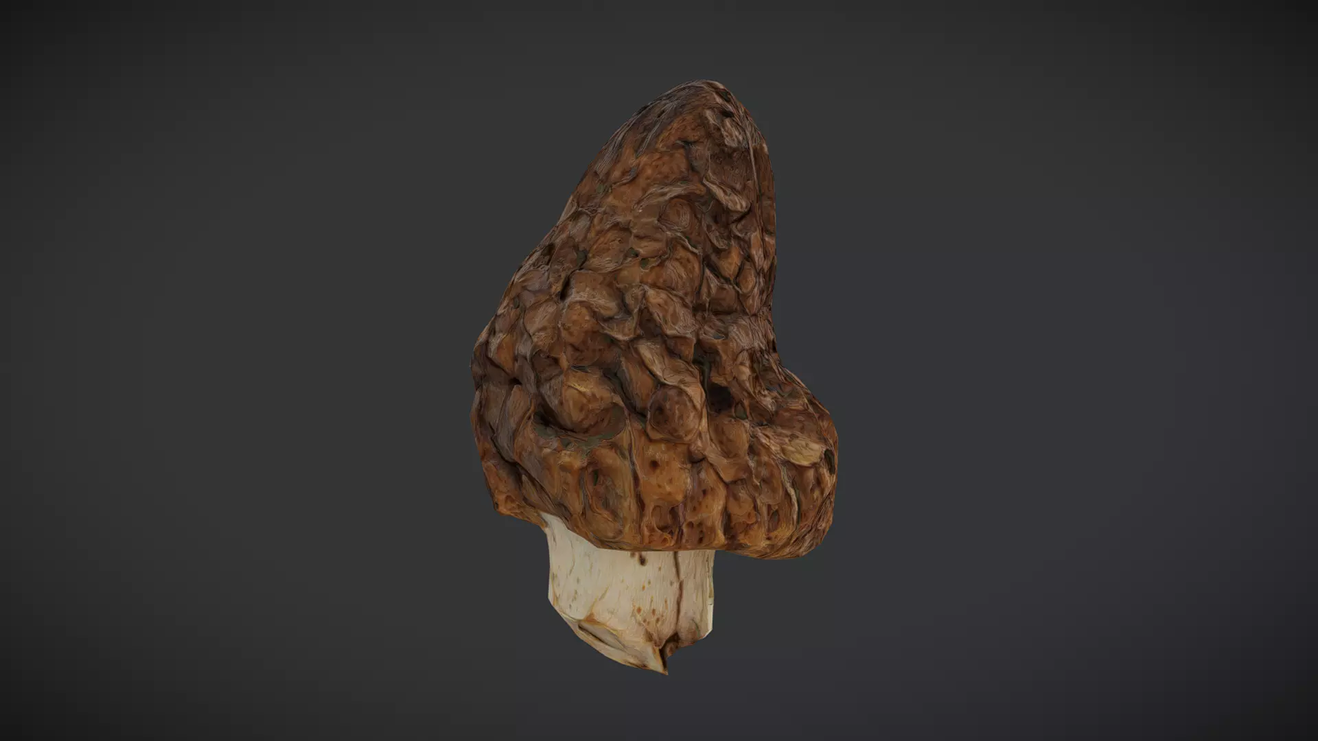 Morel Low-poly 3D model_0
