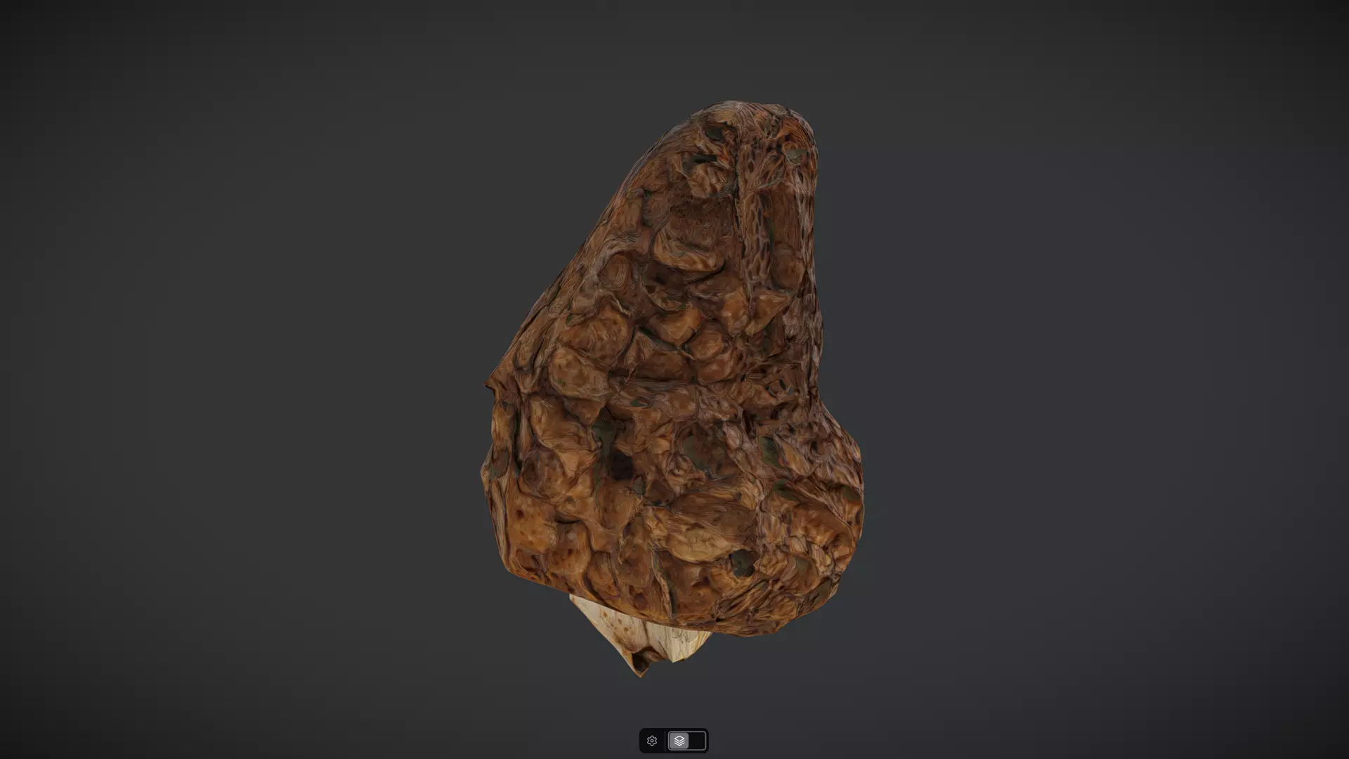 Morel Low-poly 3D model_5