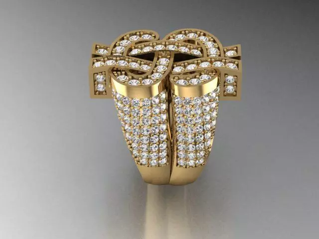 DOLLAR RING  3D print model_1