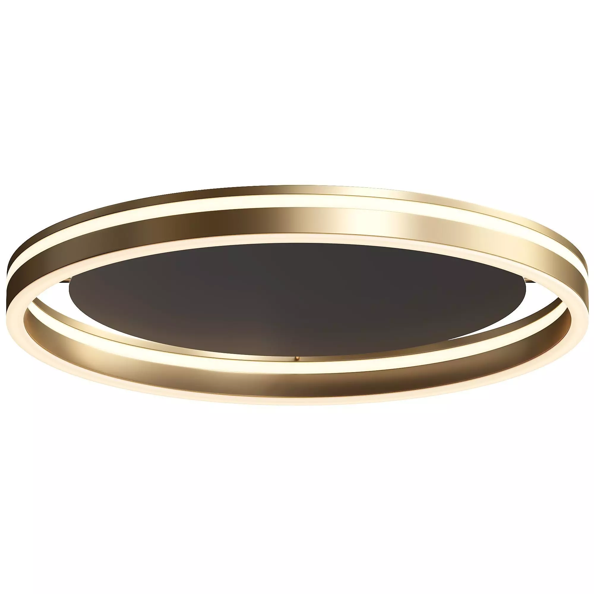 Paul Neuhaus Q-VITO LED ceiling lamp 3D model_0