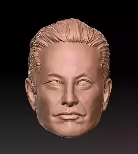 Elon Musk 2 Heads