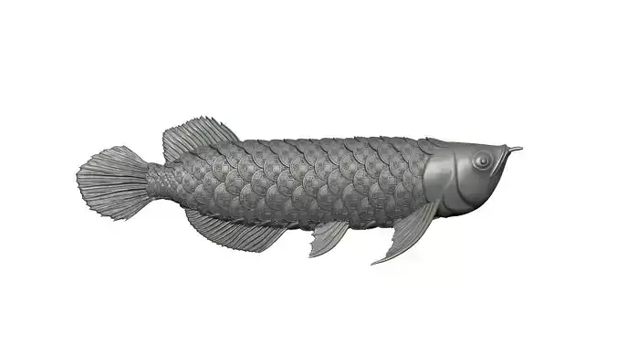 LUCKY DRAGON FISH WITH COIN AND FISH SCALES 