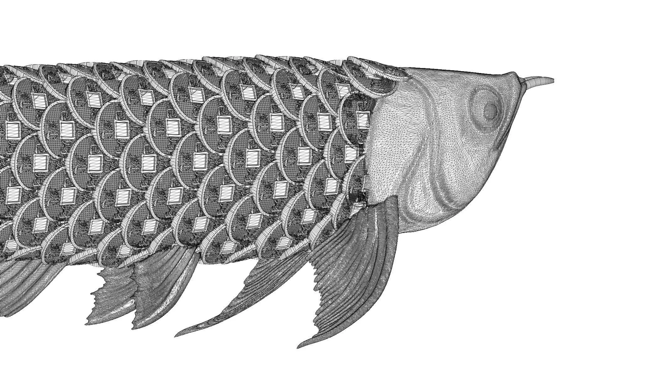 LUCKY DRAGON FISH WITH COIN AND FISH SCALES 3D print model_7