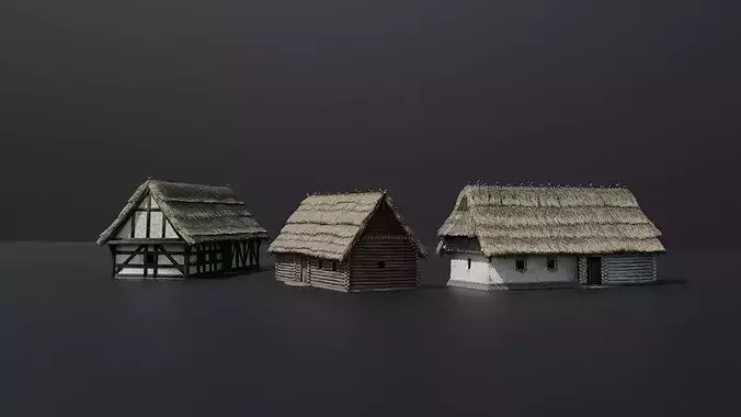 Medieval Houses