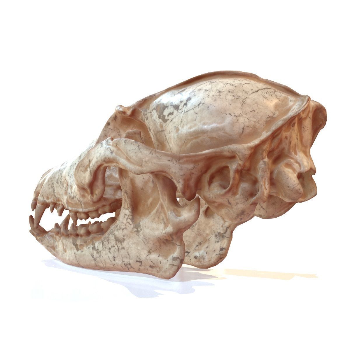 Decorative Skull Low-poly 3D model_6