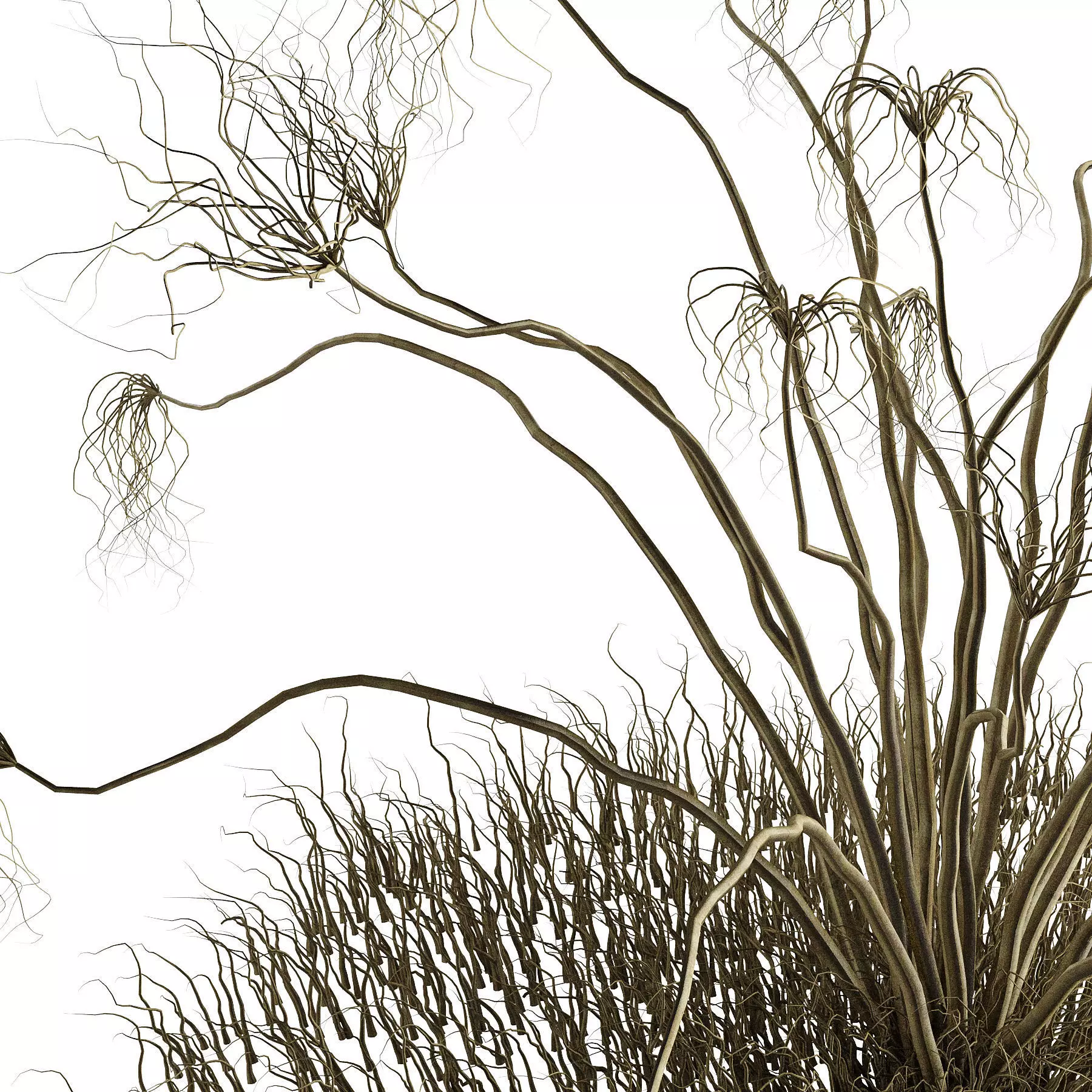 Dried branches 3D model_1