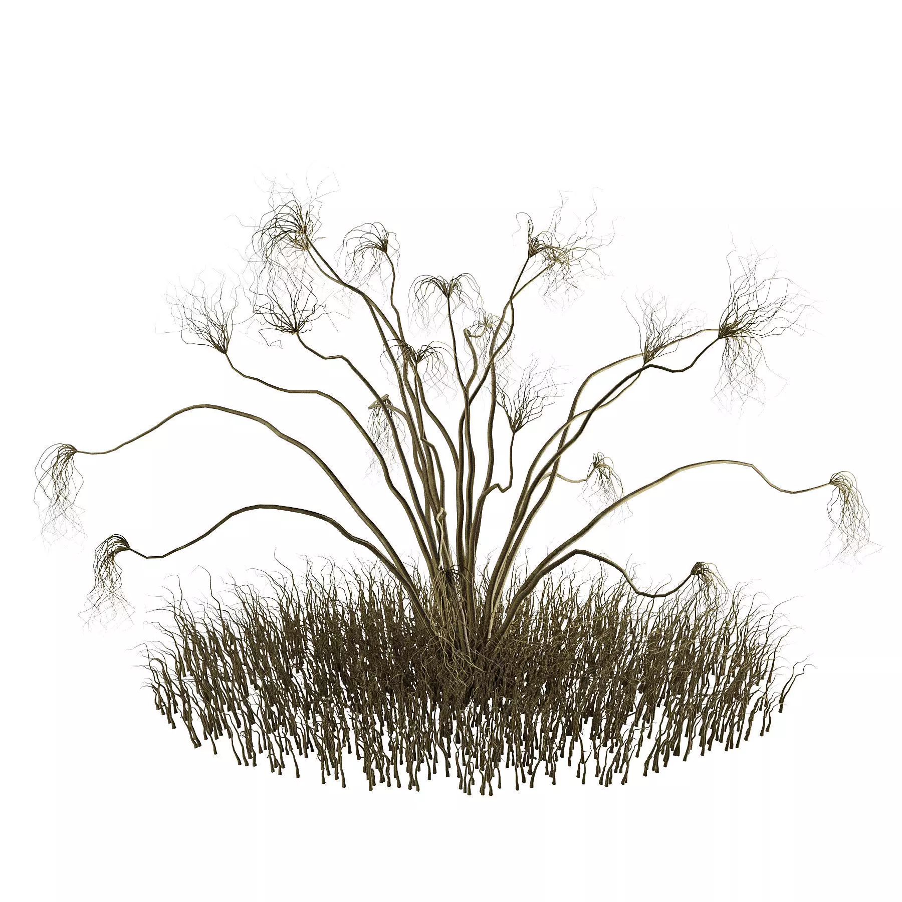 Dried branches 3D model_0