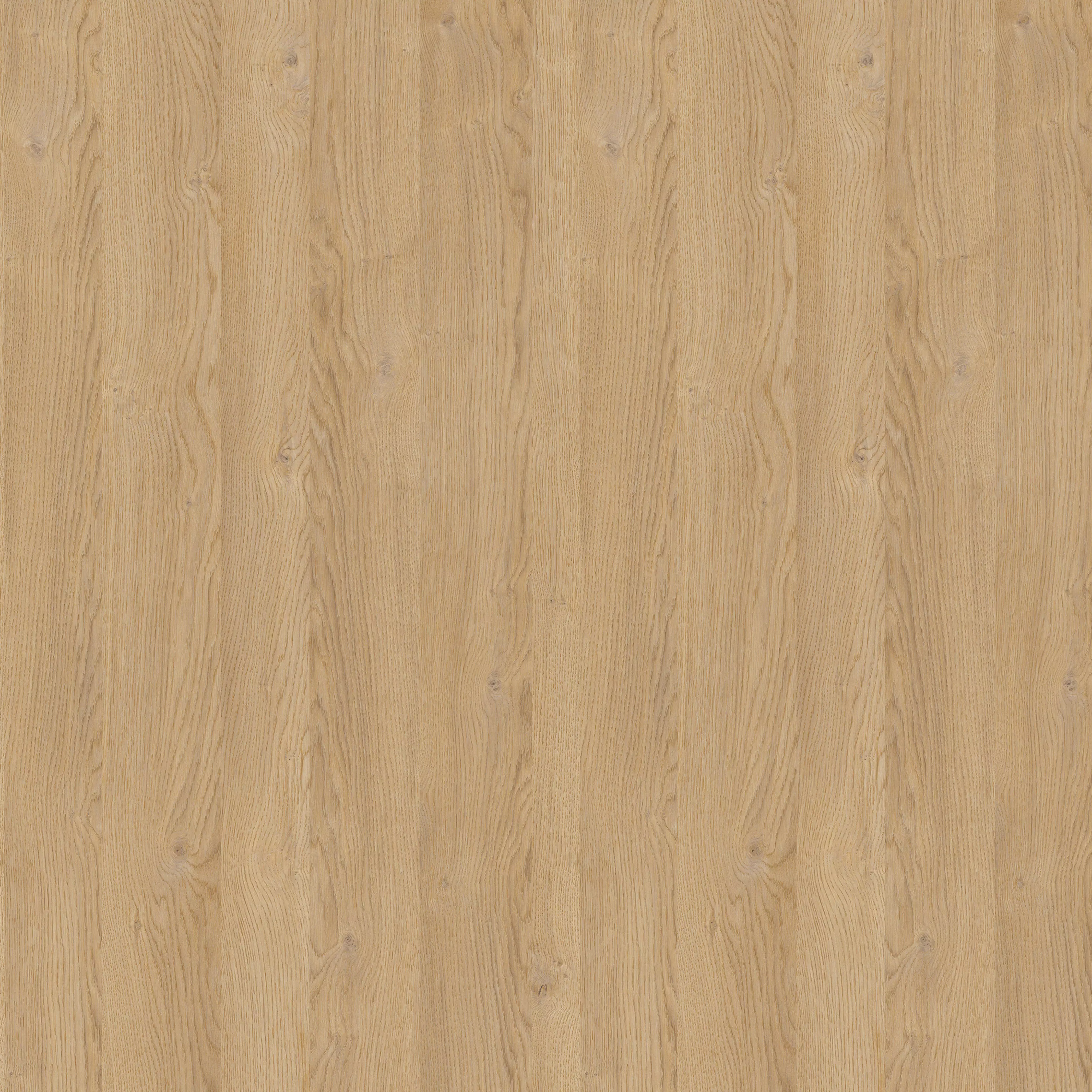 Modern Minimalist Villa with Interior Exterior Scene  Low-poly 3D model_19