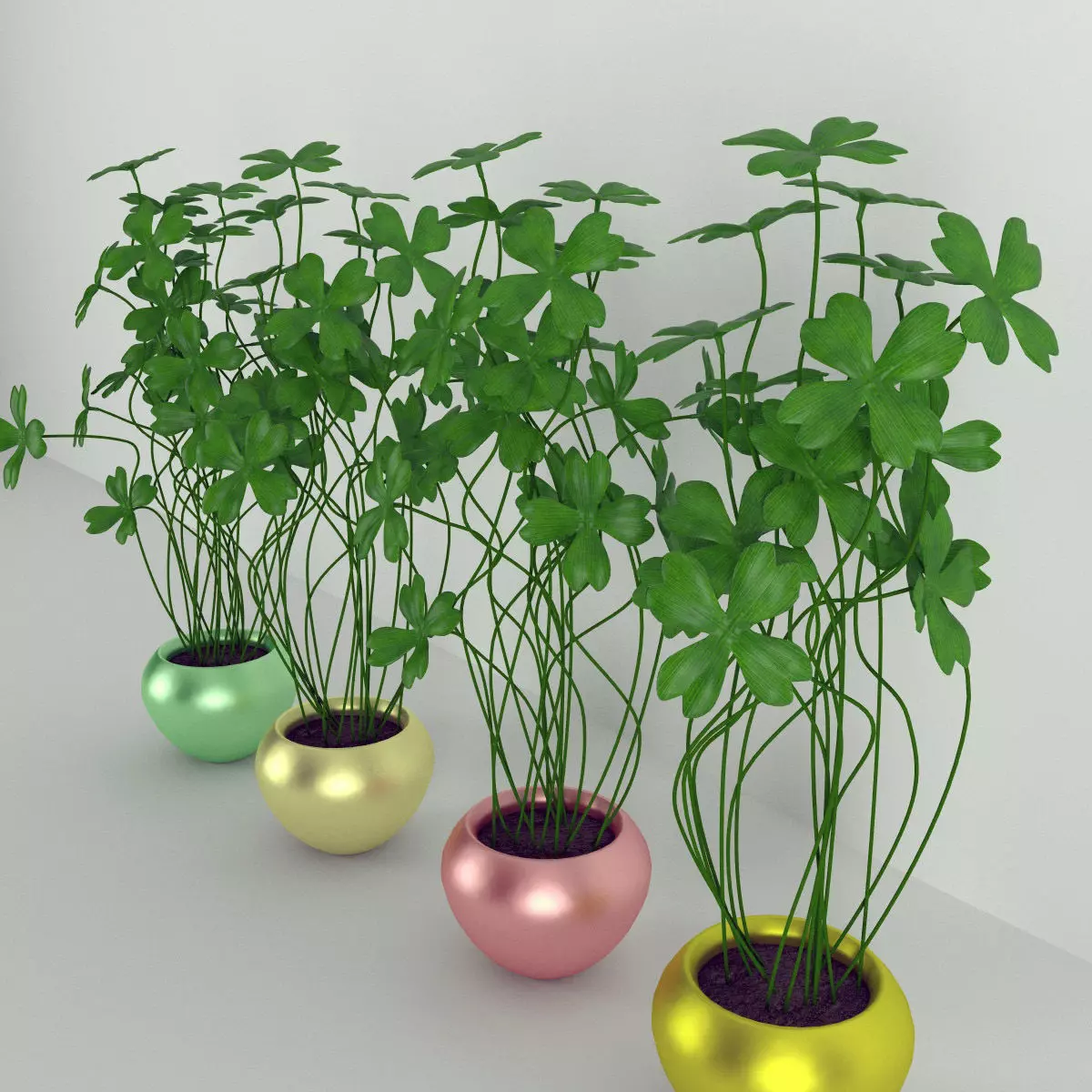 Plant clover in colored pots 3D model