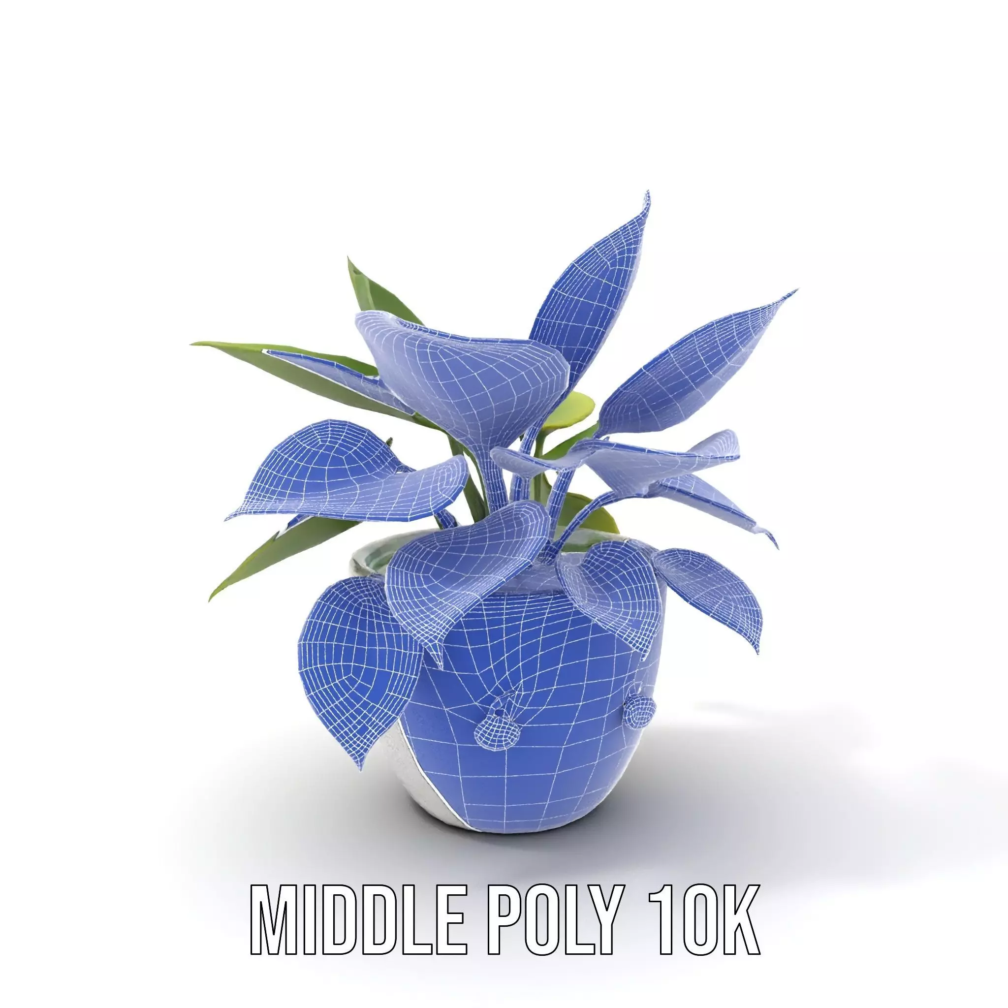 Happy Face Potted Plant Model Pack Low-poly 3D model_14