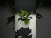 Happy Face Potted Plant Model Pack Low-poly 3D model_2