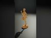 Golden Sports Trophy Collection _14