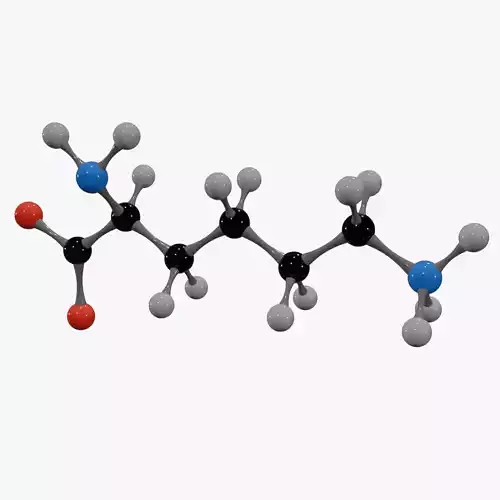 Lysine Molecule