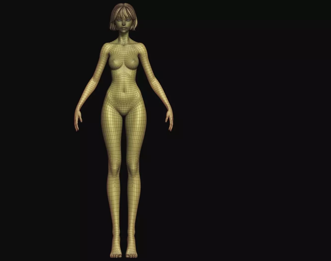 Rigged Fantasy girl man male Base female anatomy base mesh 3D model_23