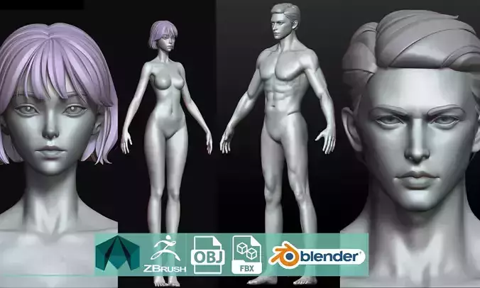 Rigged Fantasy girl man male Base female anatomy base mesh 3D model