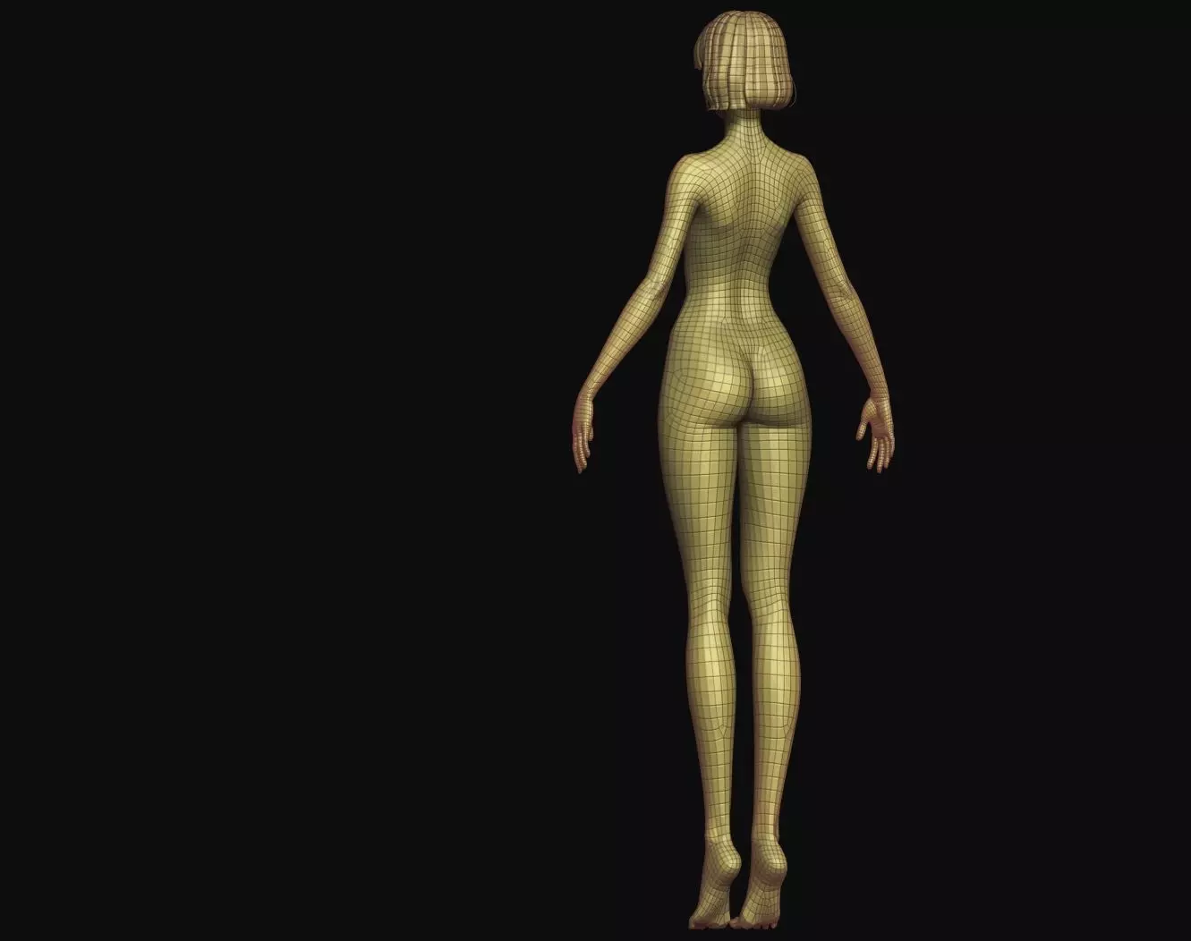 Rigged Fantasy girl man male Base female anatomy base mesh 3D model_25