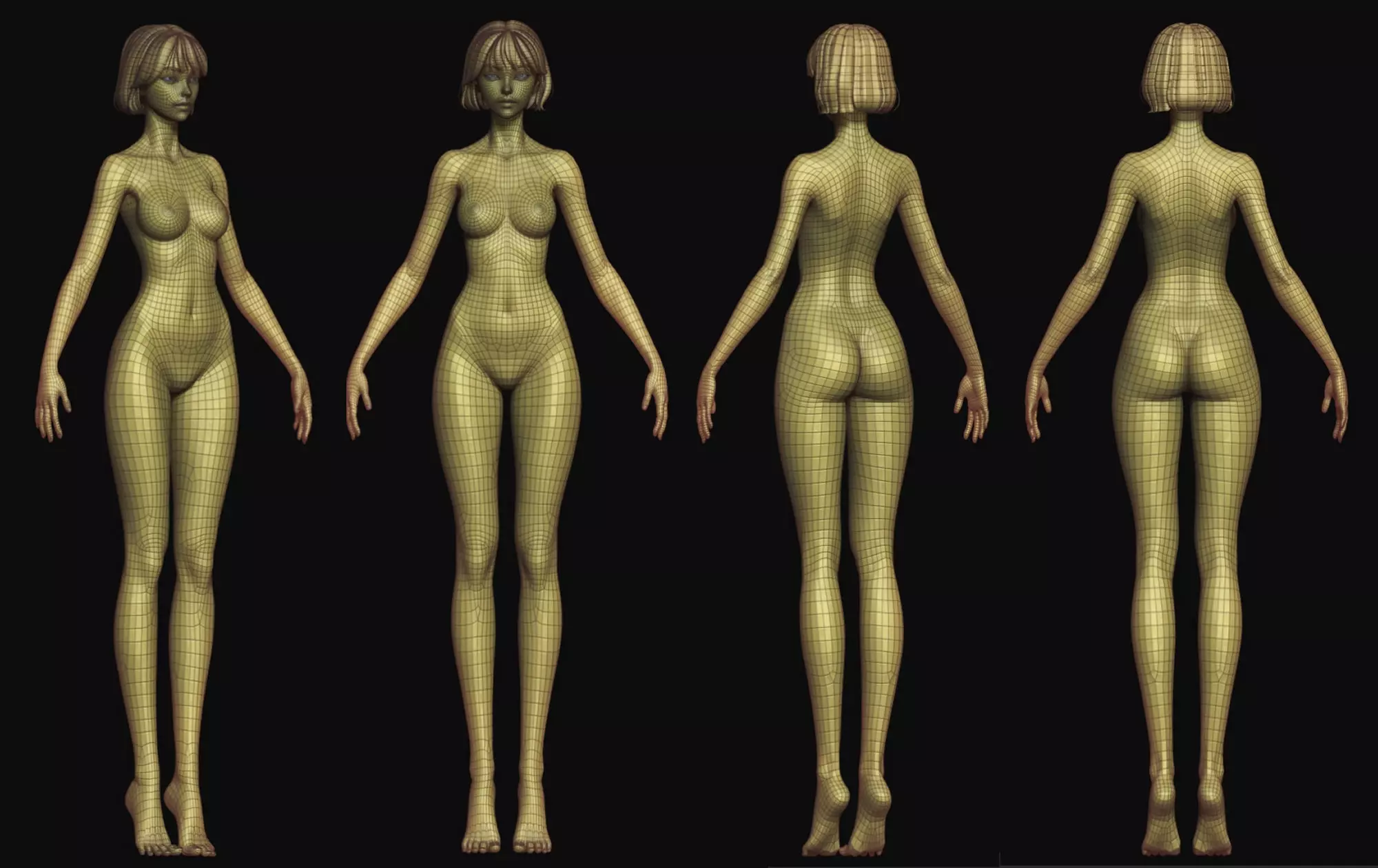 Rigged Fantasy girl man male Base female anatomy base mesh 3D model_3