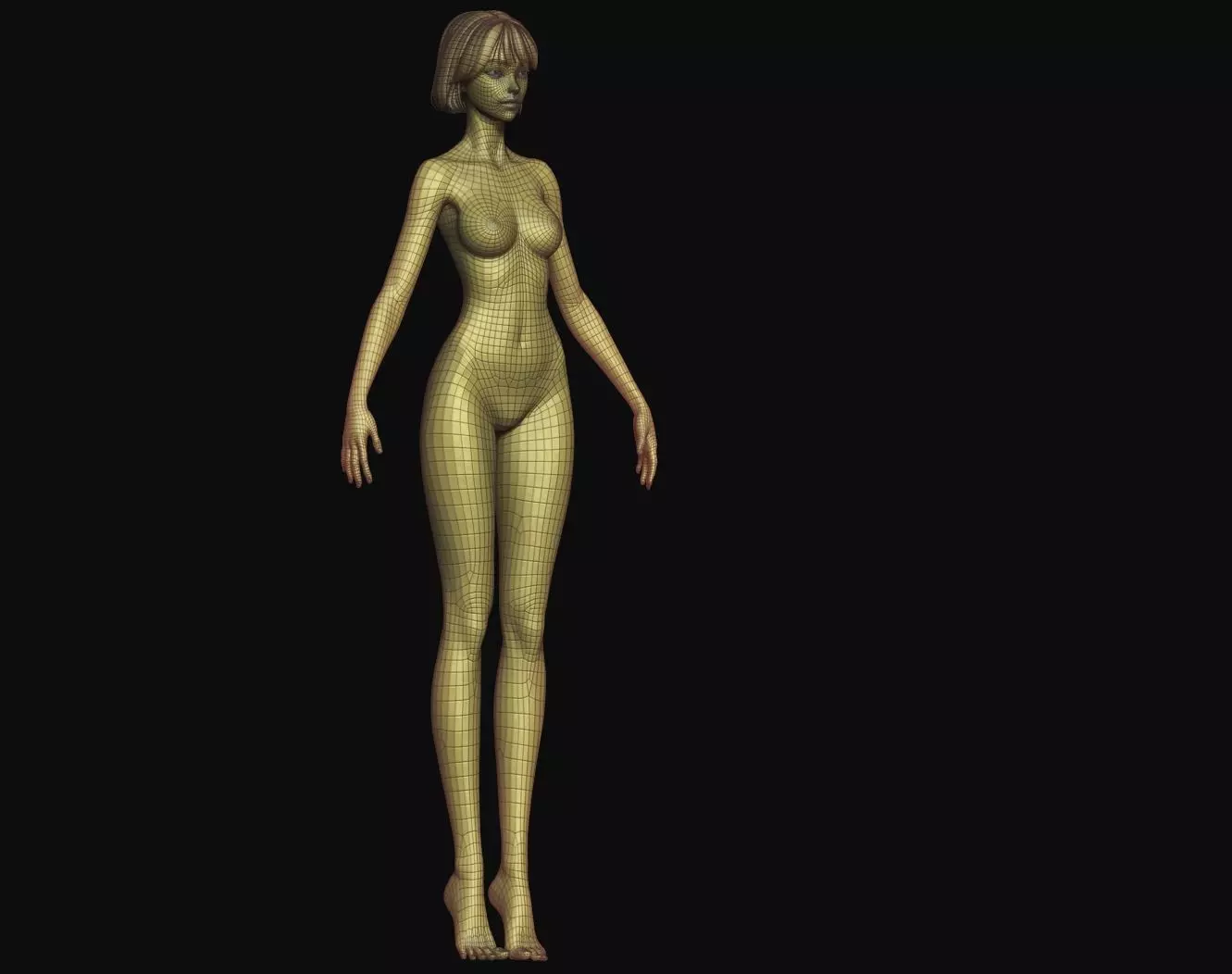 Rigged Fantasy girl man male Base female anatomy base mesh 3D model_24