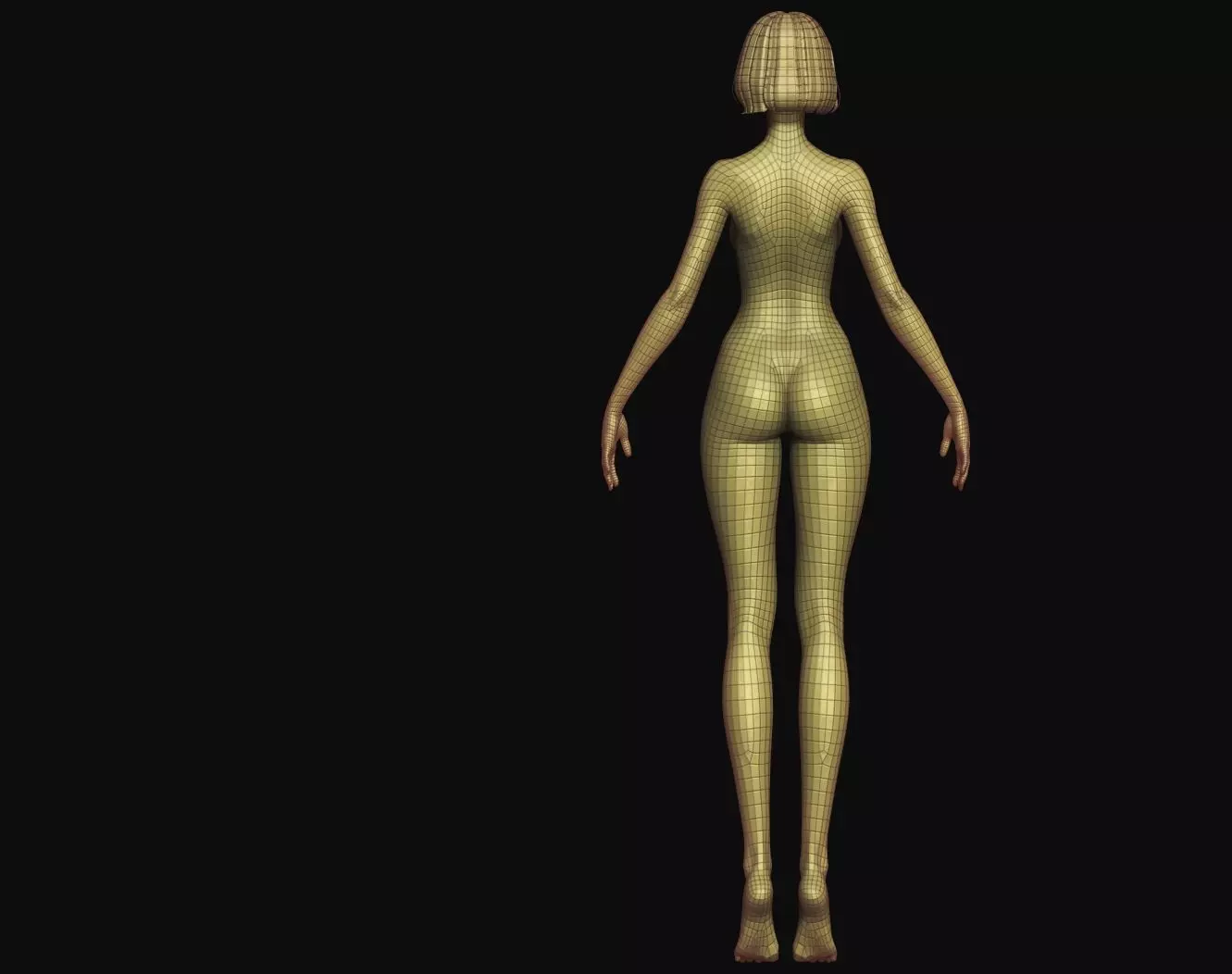 Rigged Fantasy girl man male Base female anatomy base mesh 3D model_26