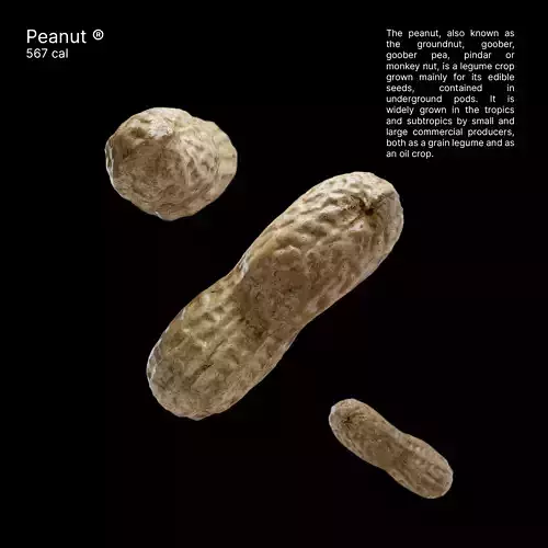 Peanut - Commercial Ready