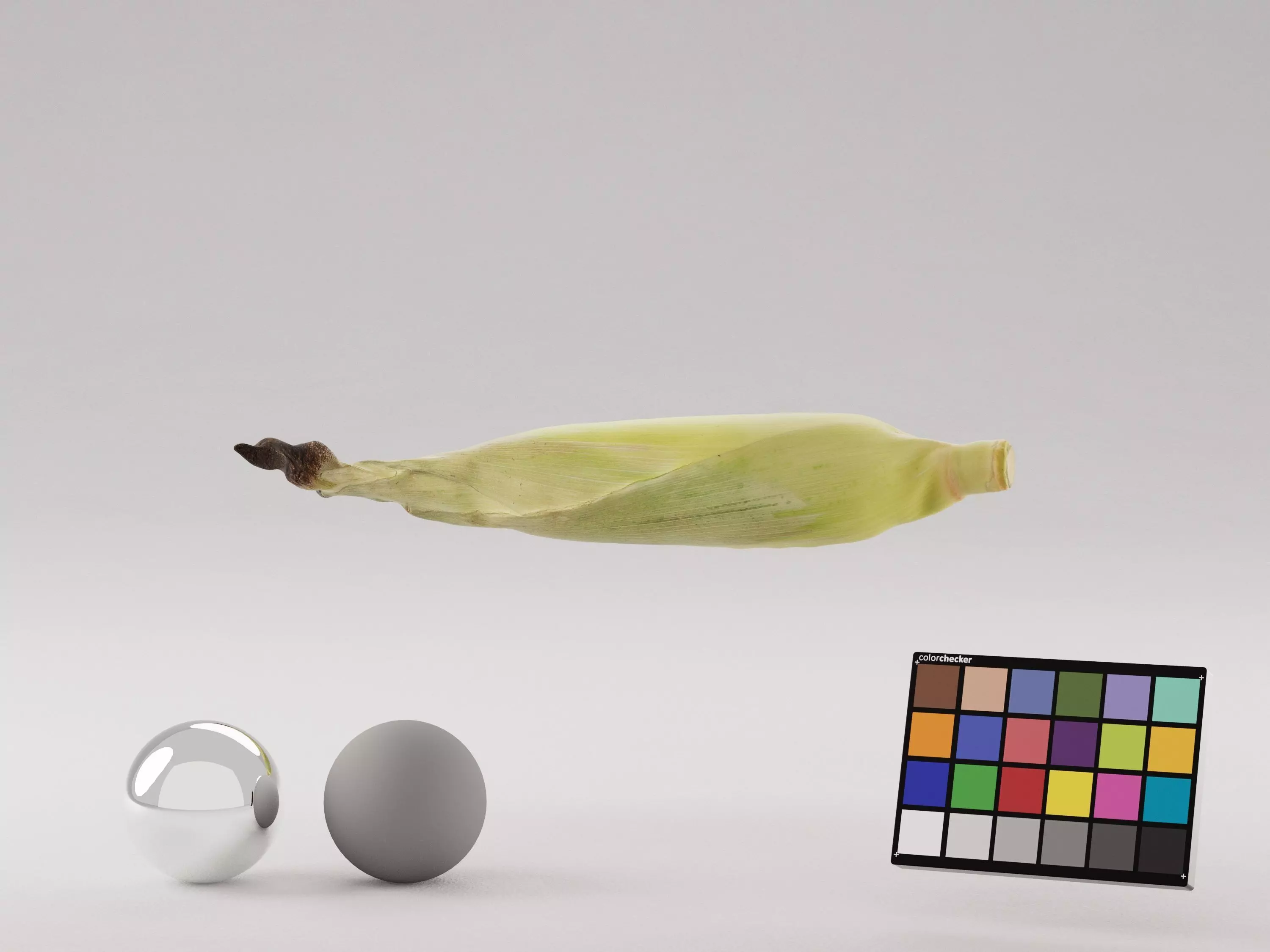 Corn Husk 3D model_4