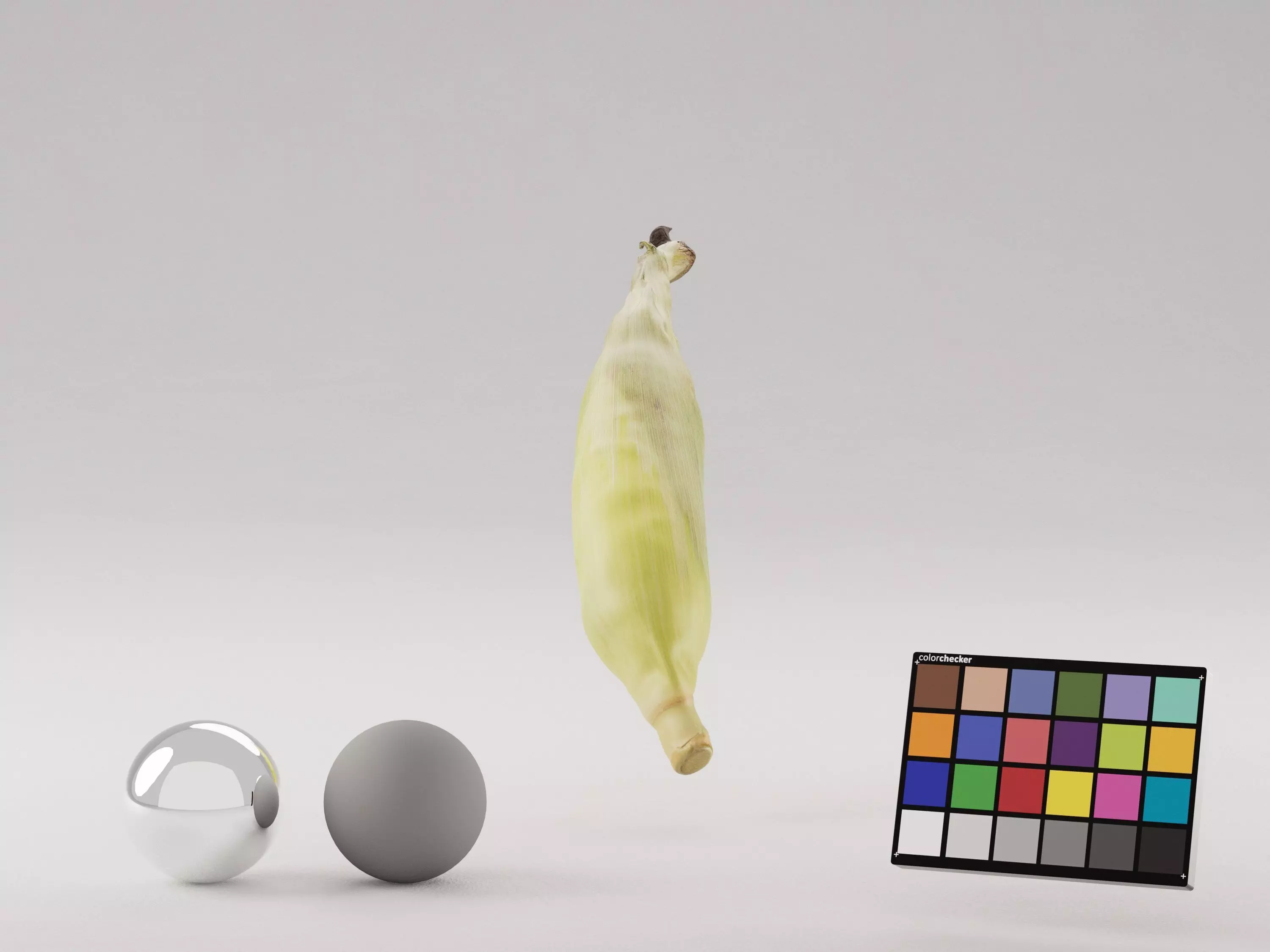 Corn Husk 3D model_2