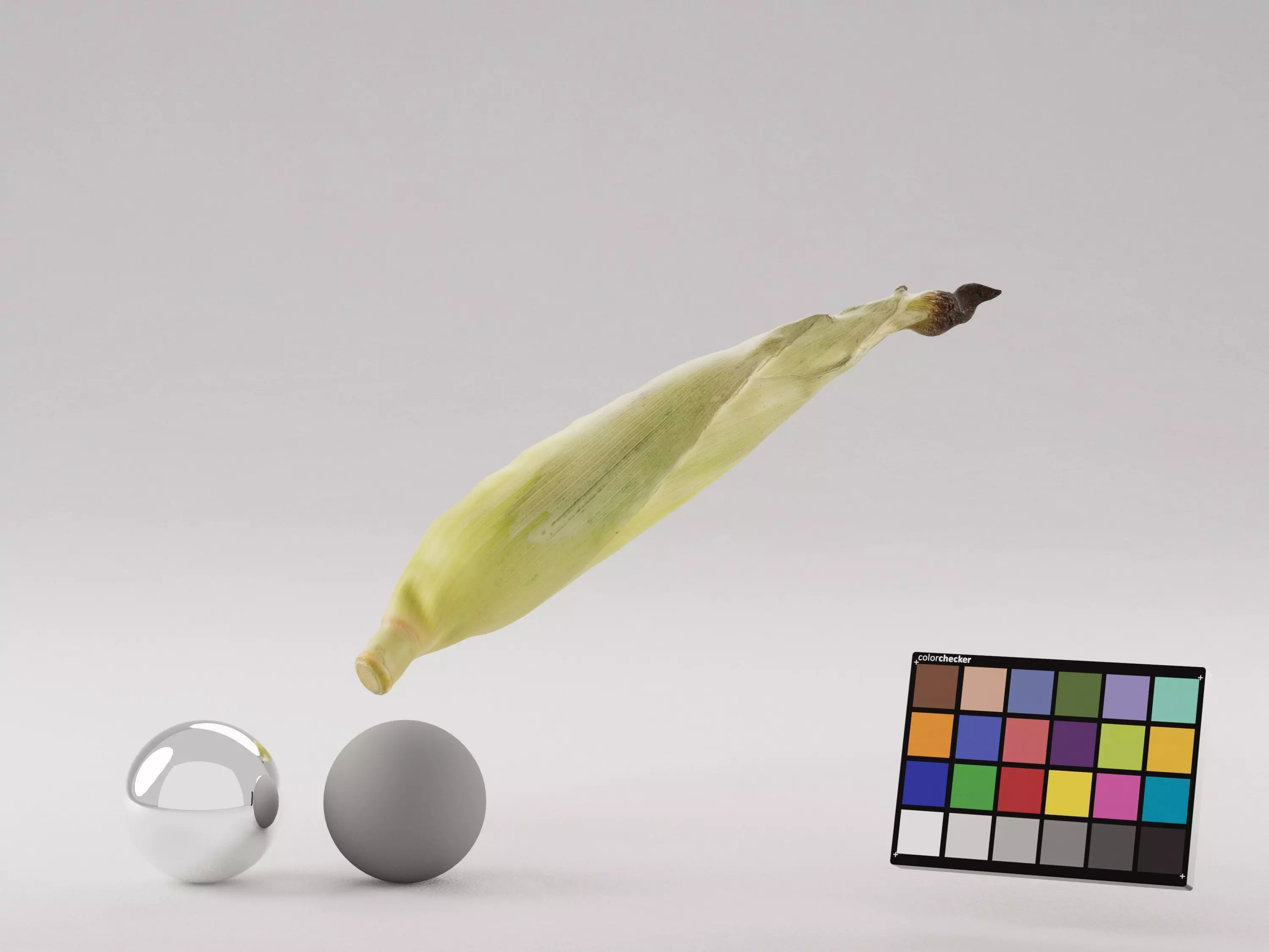 Corn Husk 3D model_0