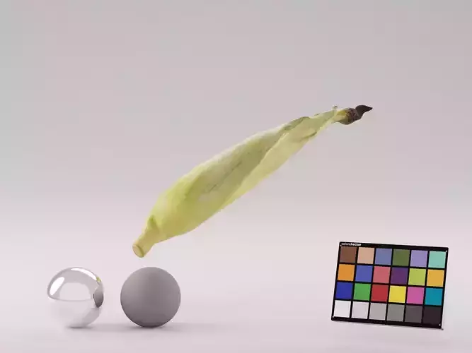 Corn Husk 3D model Corn Husk 3D model