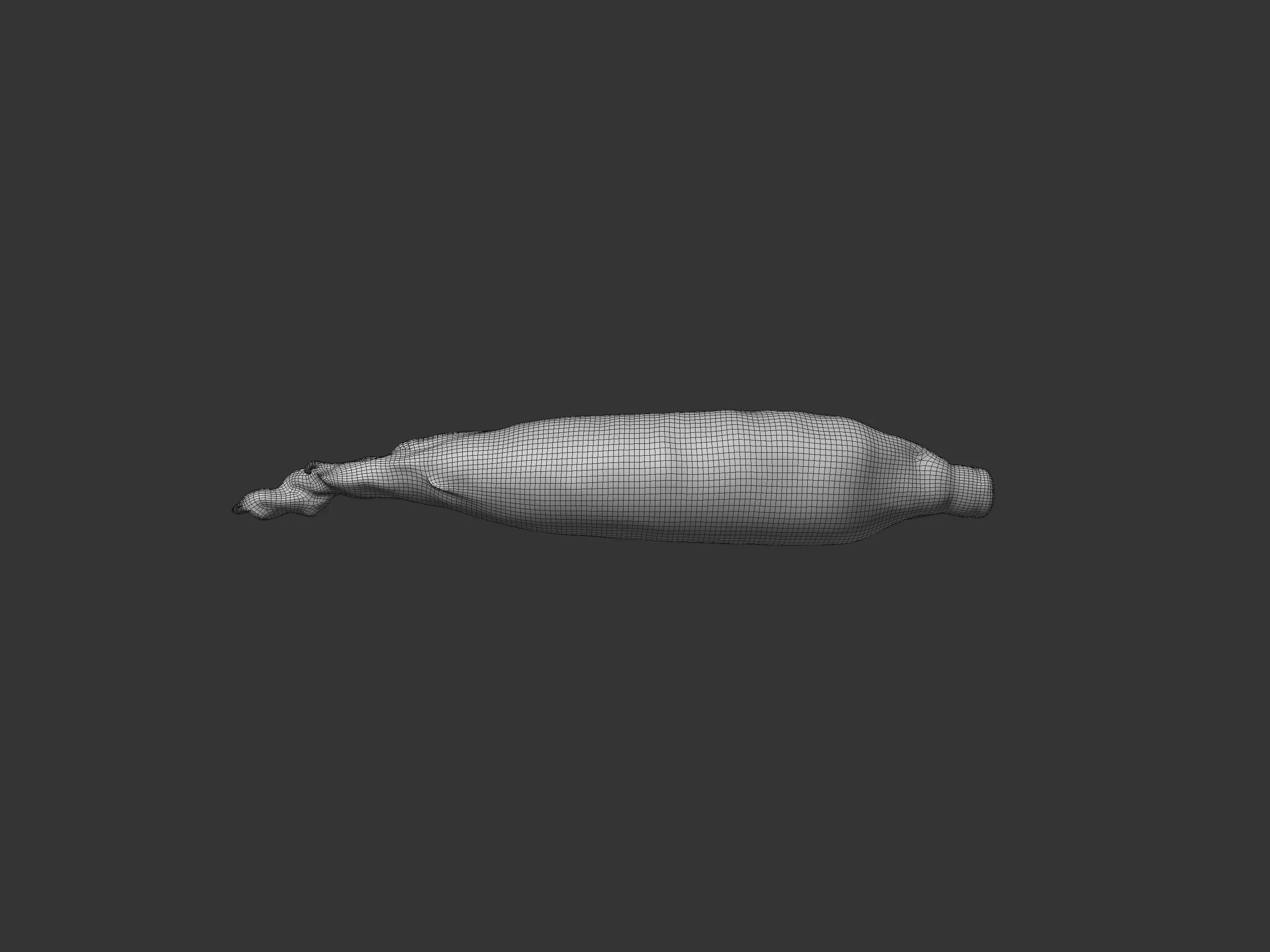 Corn Husk 3D model_7