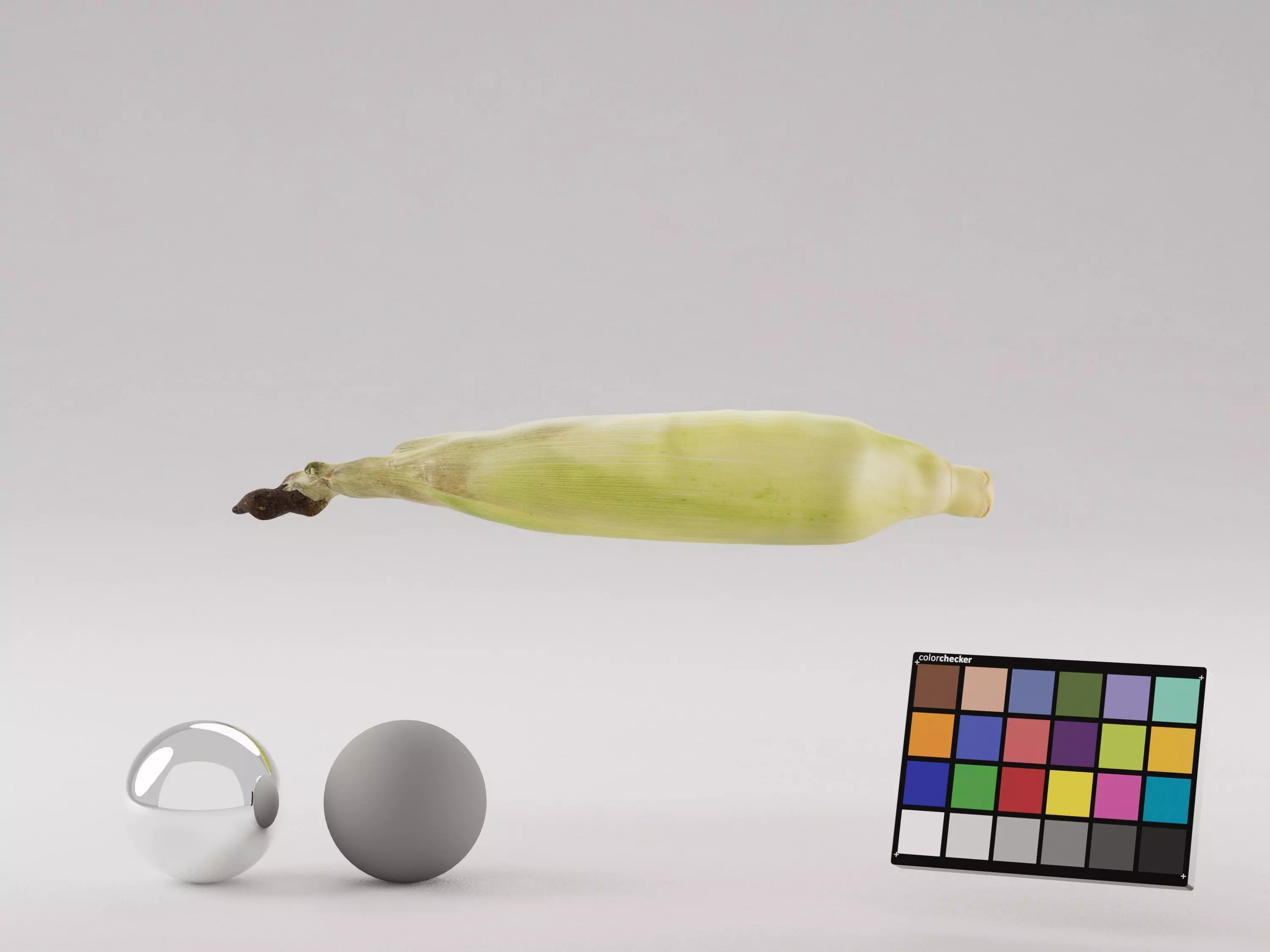 Corn Husk 3D model_3