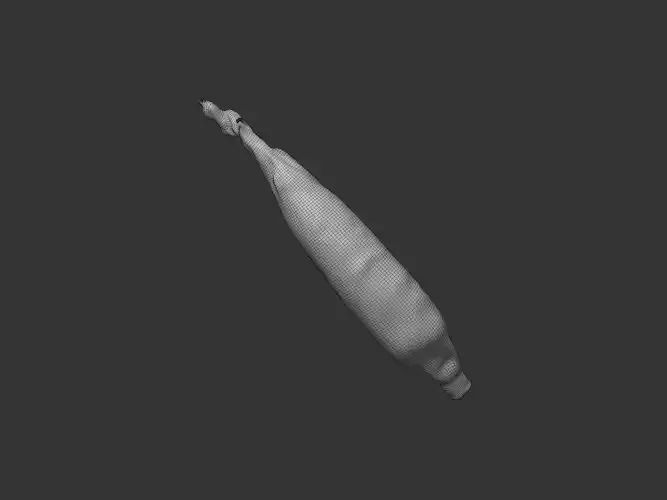 Corn Husk 3D model 6