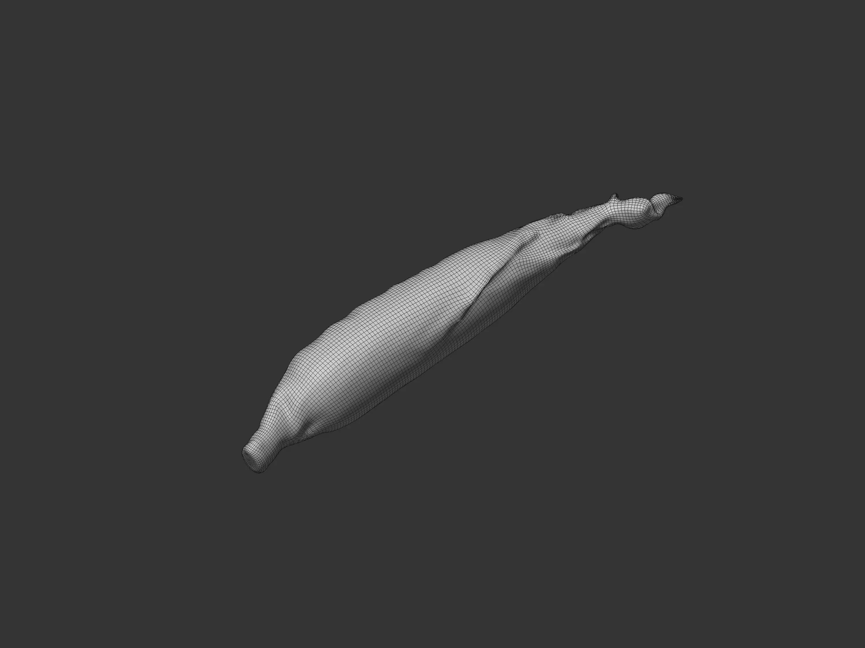 Corn Husk 3D model_9