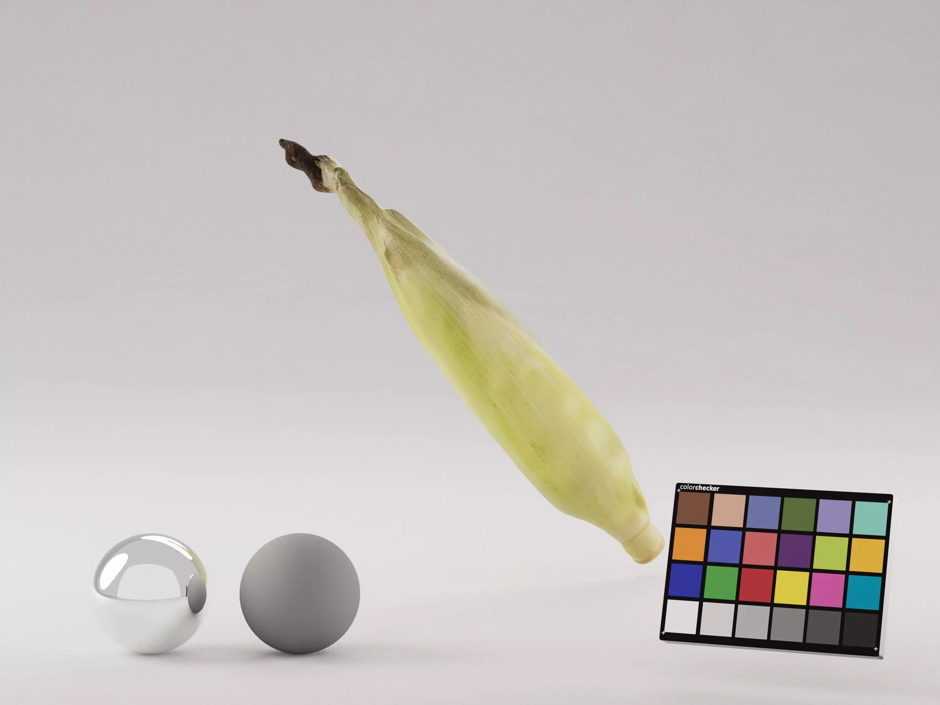 Corn Husk 3D model_1