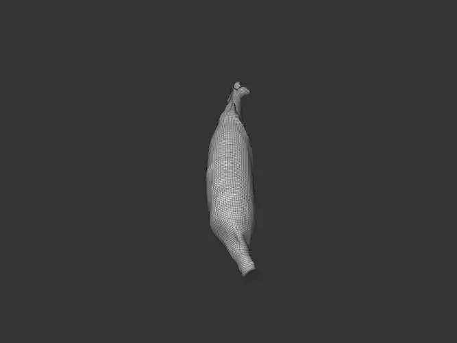Corn Husk 3D model 7