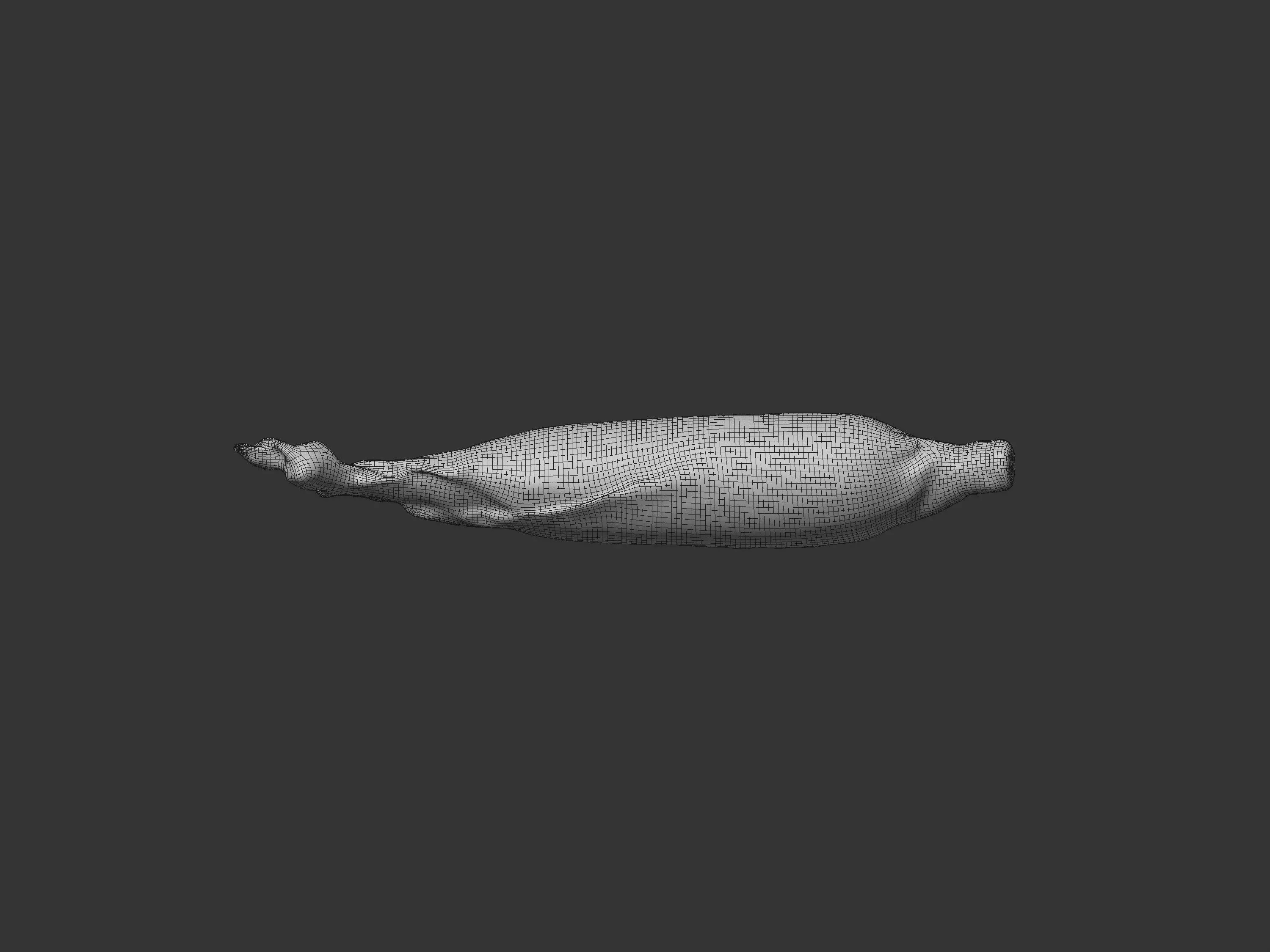 Corn Husk 3D model_8