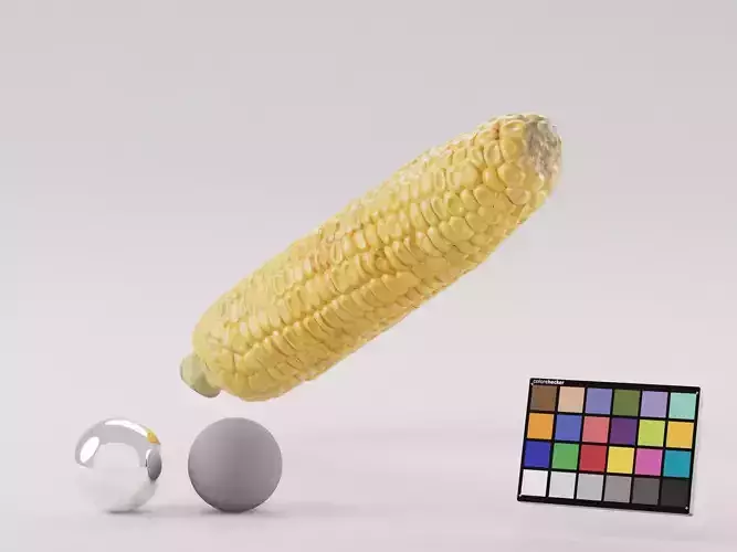 Corn Cob
