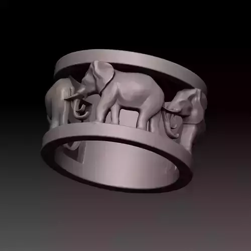 anillo de elefantes