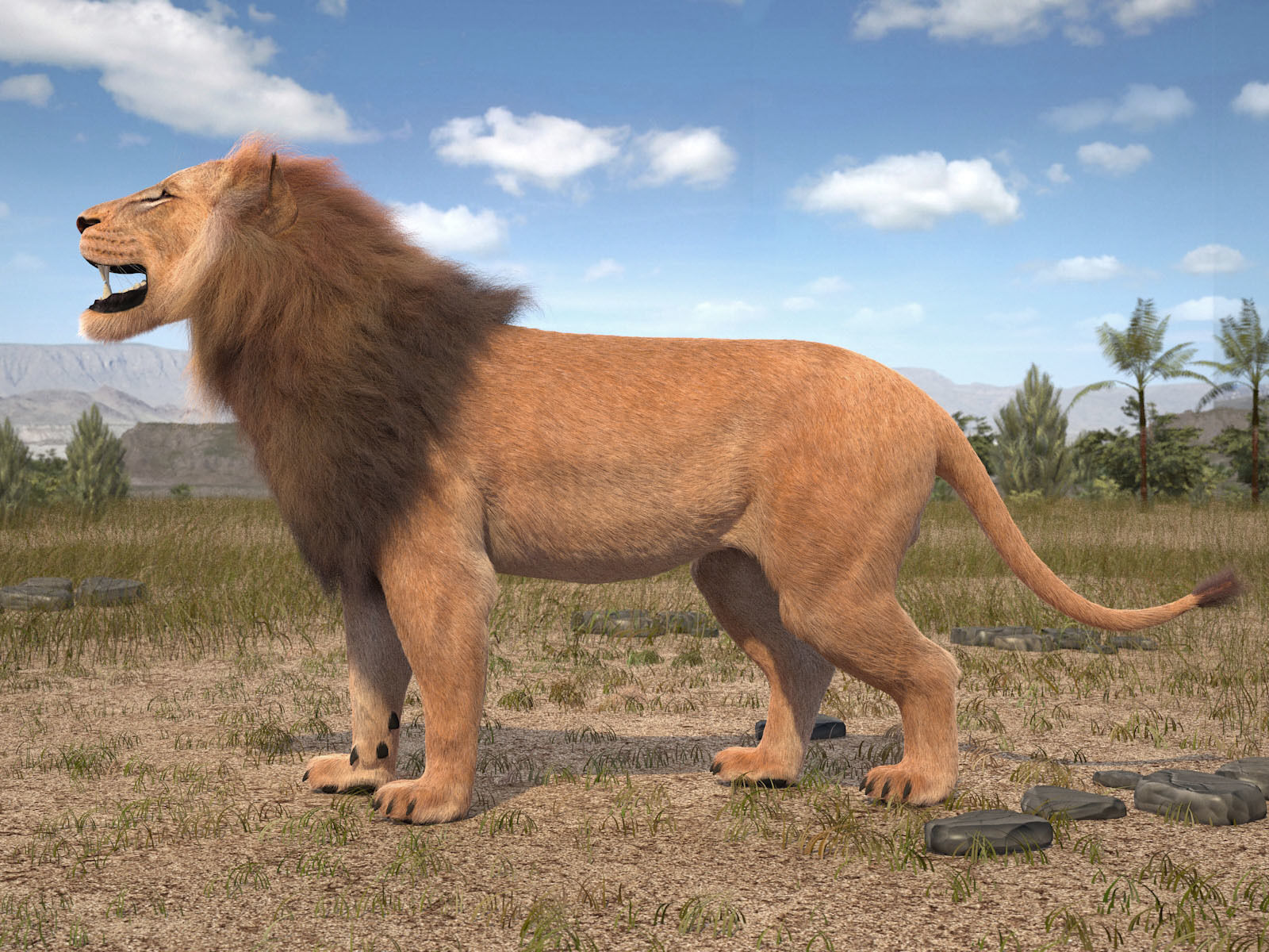 Lion The King hair and fur 3D model_3