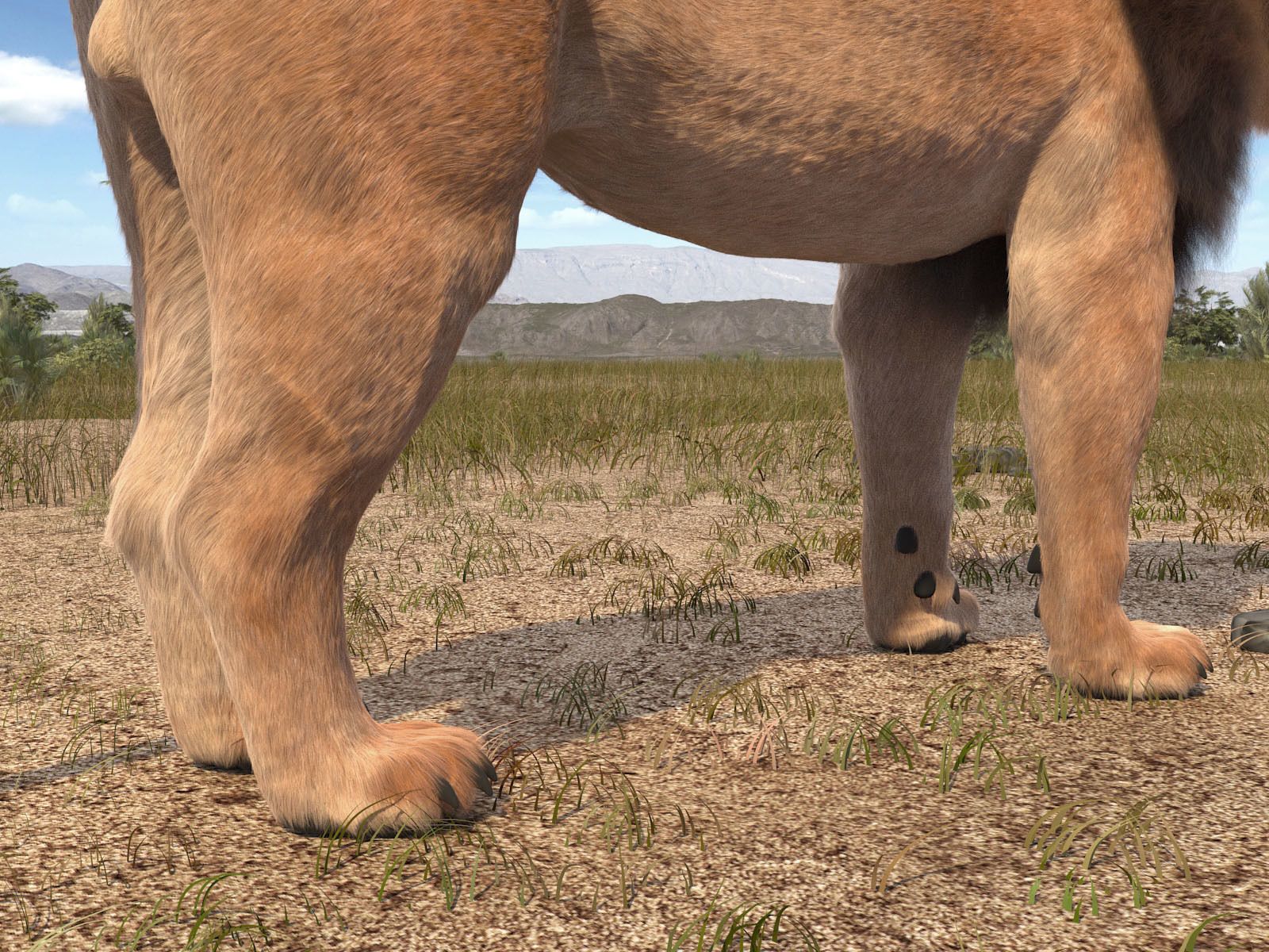 Lion The King hair and fur 3D model_19