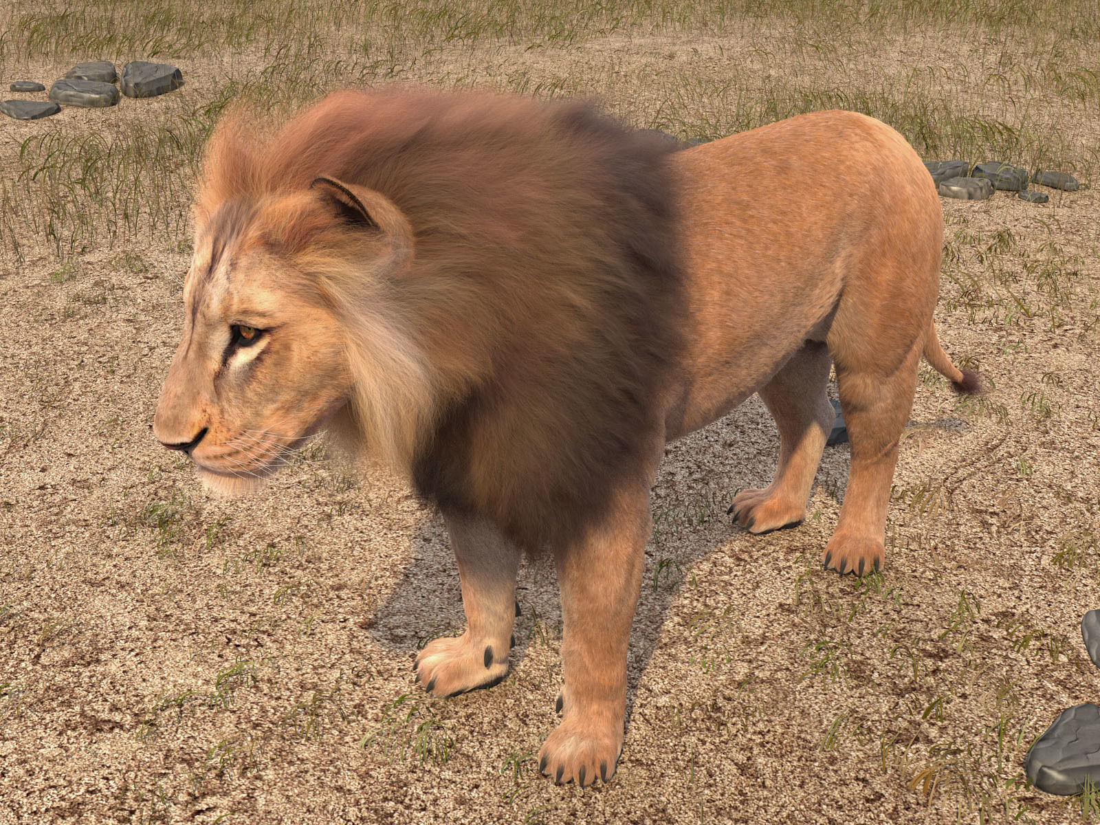 Lion The King hair and fur 3D model_5