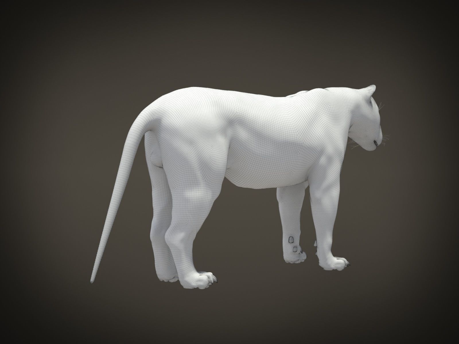 Lion The King hair and fur 3D model_17