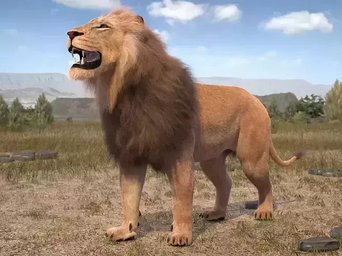 Lion The King hair and fur 3D model