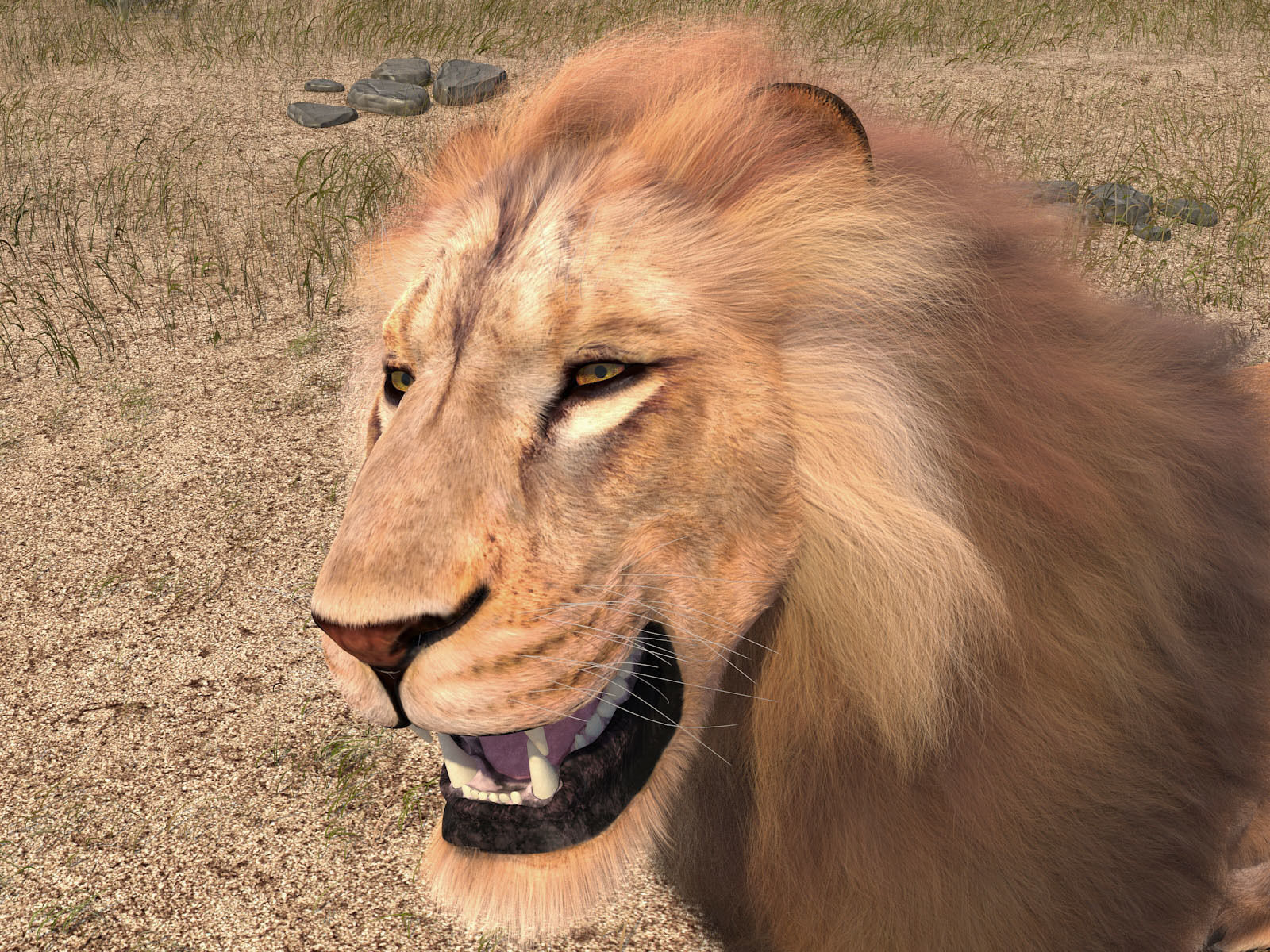 Lion The King hair and fur 3D model_7