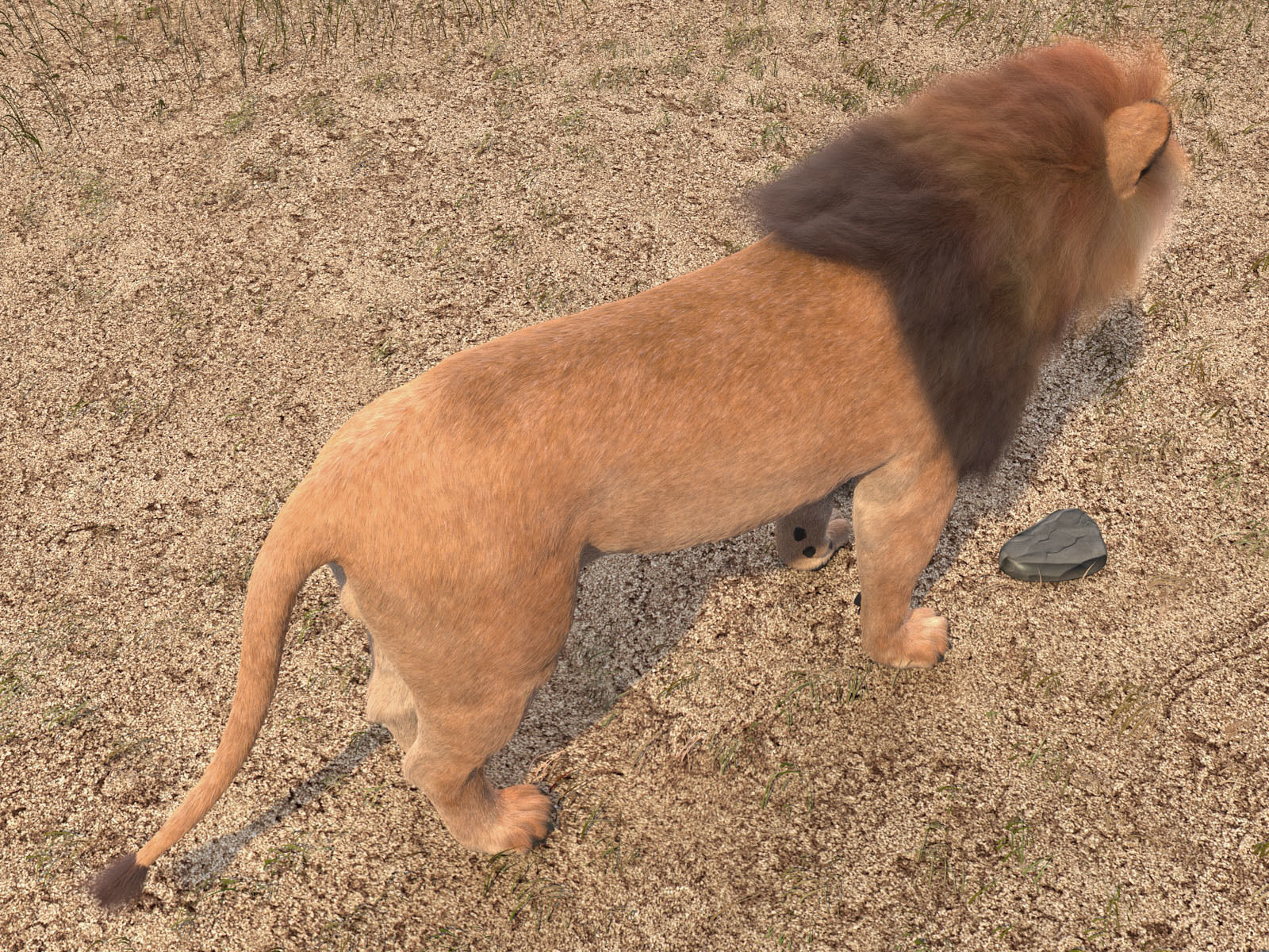 Lion The King hair and fur 3D model_11
