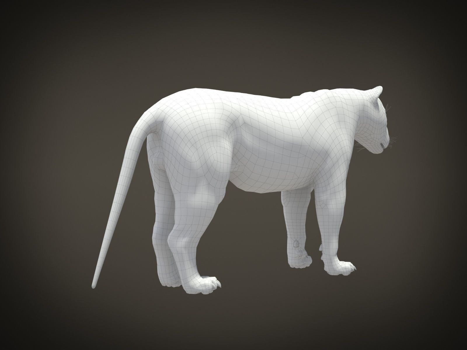 Lion The King hair and fur 3D model_20