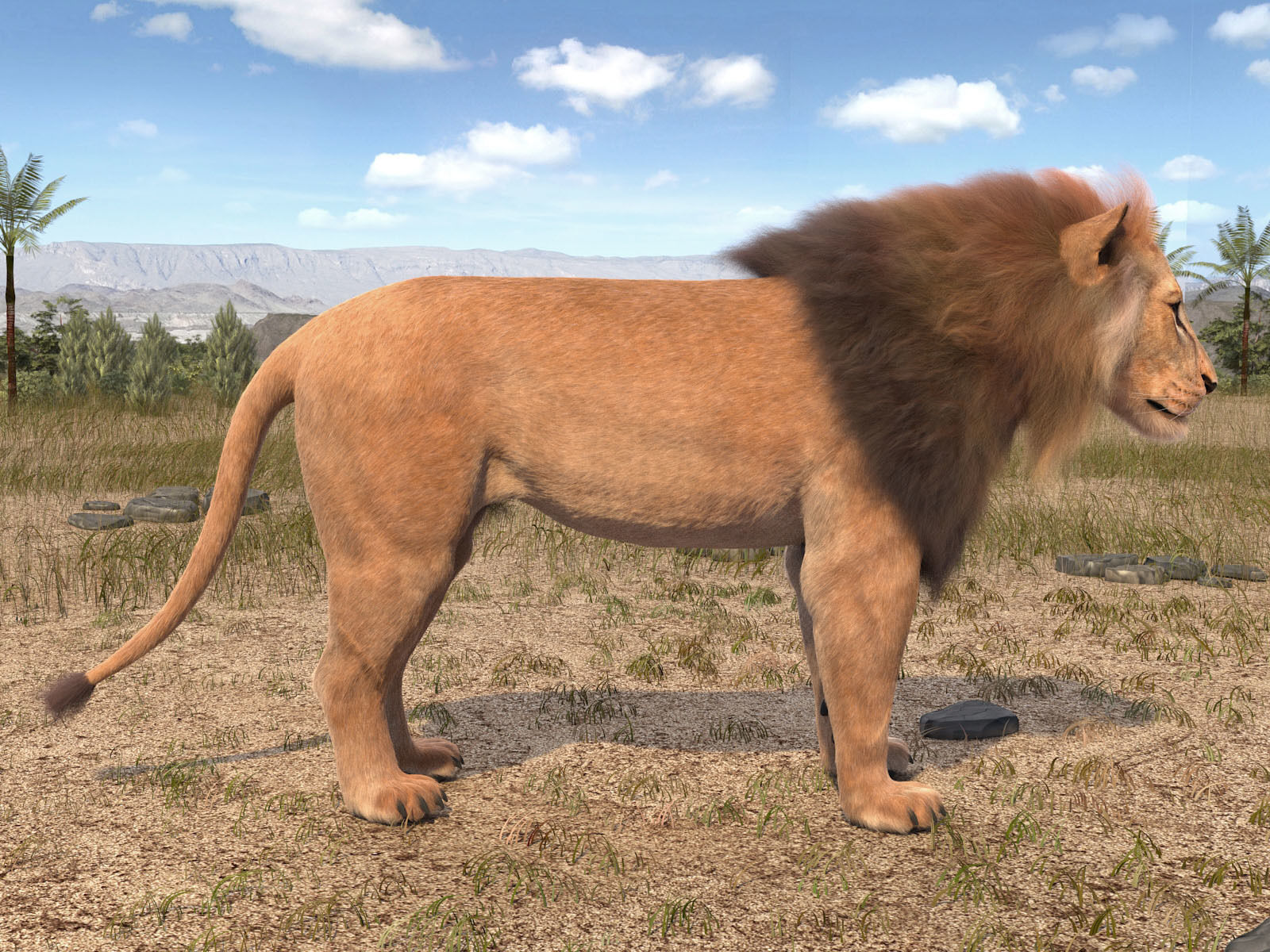 Lion The King hair and fur 3D model_10