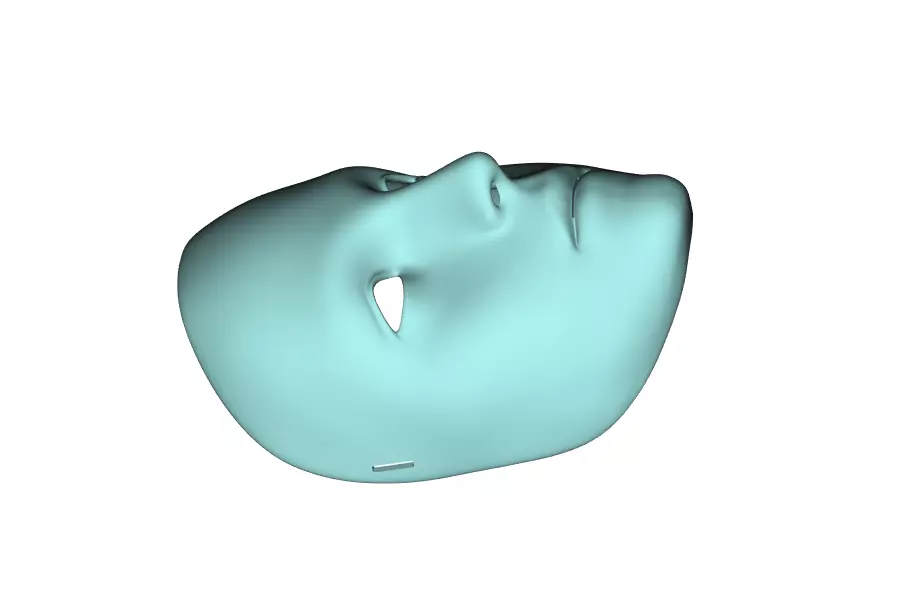 face mask 3D print model_2